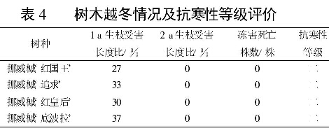 表4 樹木越冬情況及抗寒性等級評價